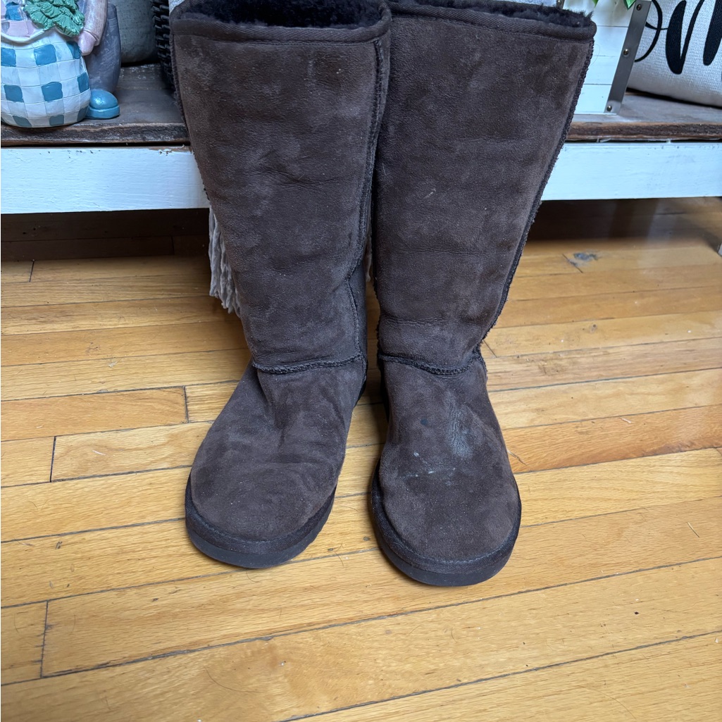 Ugg Tall Brown Suede Boots